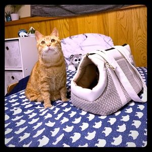 Fashionable Pet Carrier Purse NWT 🐶💙